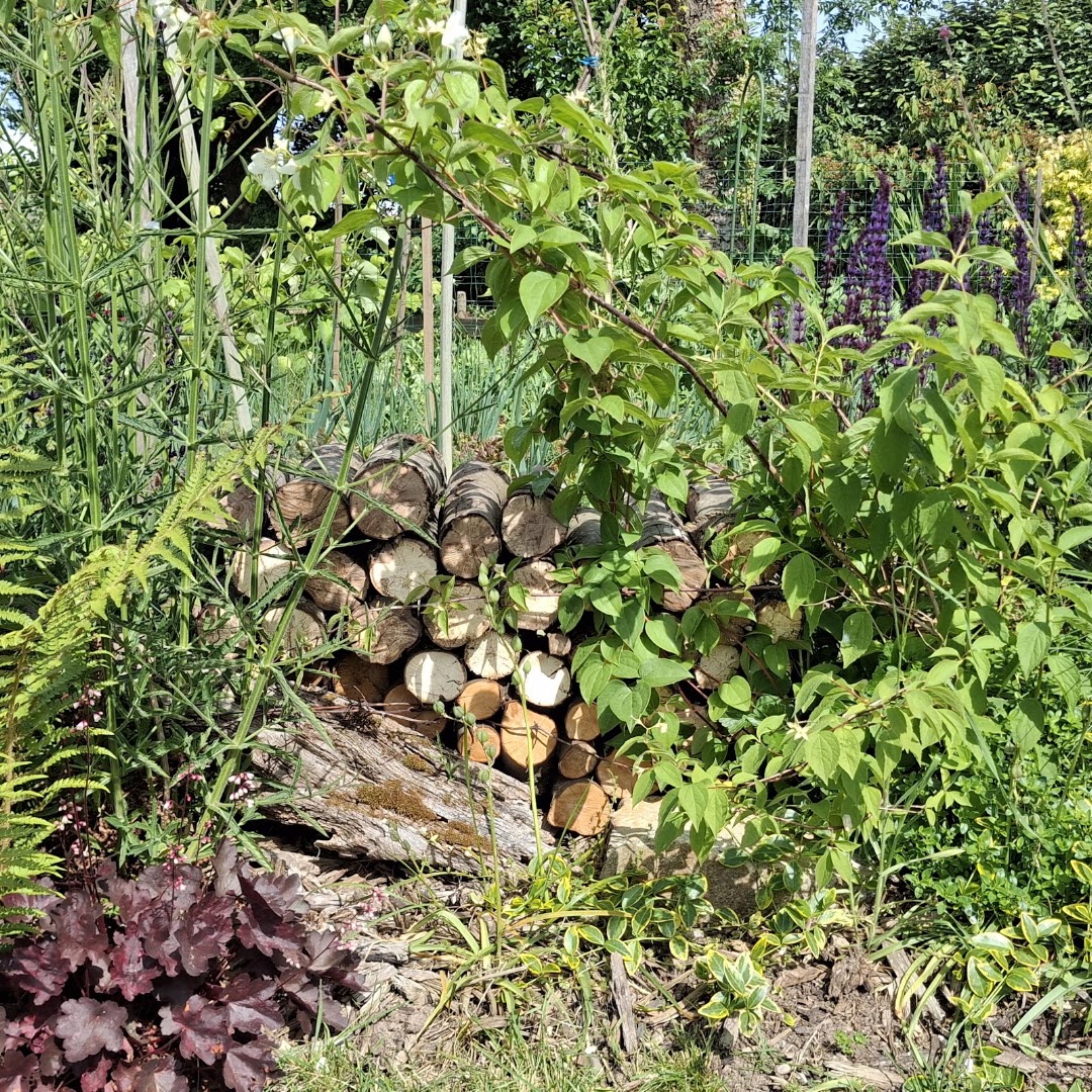 Bosquet Services — Photos 6