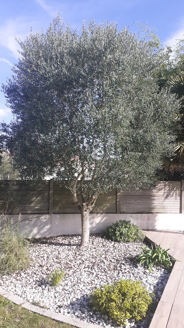 Bosquet Services — Photos 11